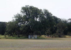 William Johnson Gravesite Photo Courtesy John Christeson 2010