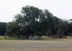 William Johnson Gravesite